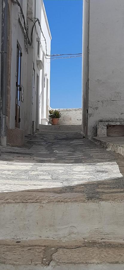Che Vista!! Ostuni ,Sulle Bianche Mura Con Vista Mozzafiato Ngoại thất bức ảnh