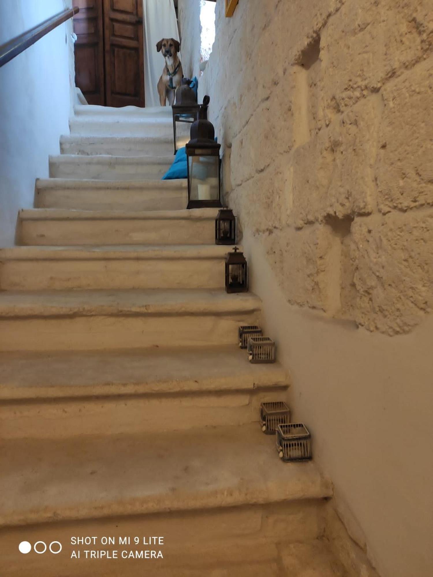 Che Vista!! Ostuni ,Sulle Bianche Mura Con Vista Mozzafiato Ngoại thất bức ảnh
