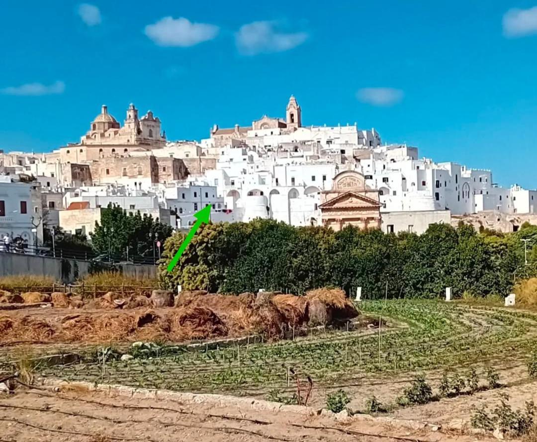 Che Vista!! Ostuni ,Sulle Bianche Mura Con Vista Mozzafiato Ngoại thất bức ảnh
