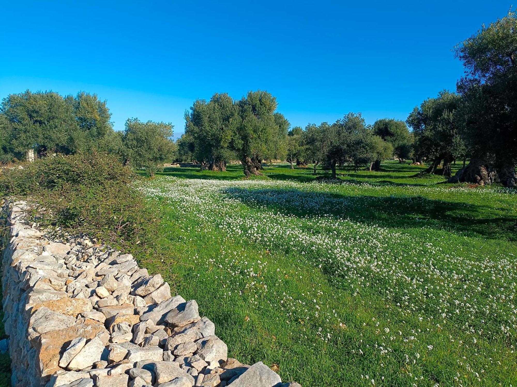 Che Vista!! Ostuni ,Sulle Bianche Mura Con Vista Mozzafiato Ngoại thất bức ảnh